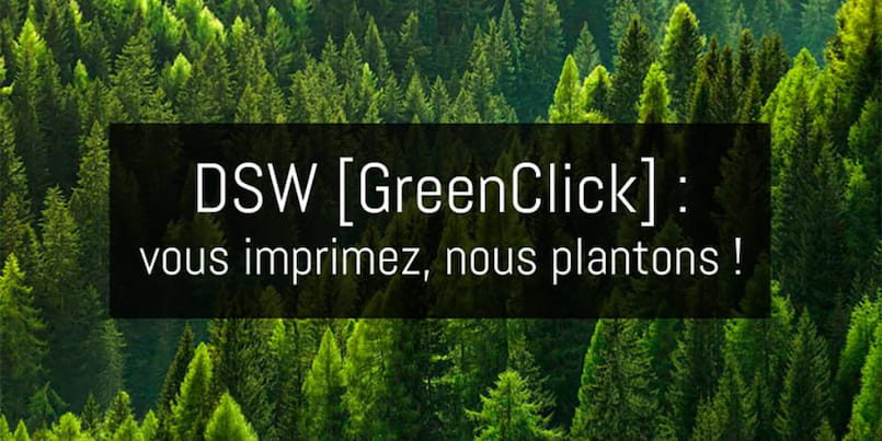 Chez DS Wallonie, la préservation de la planète est au cœur de notre ADN.
Si vous souscrivez au service DSW [GreenClick], nous nous engageons à replanter un arbre chaque fois que vous imprimez 8.333 pages A4.