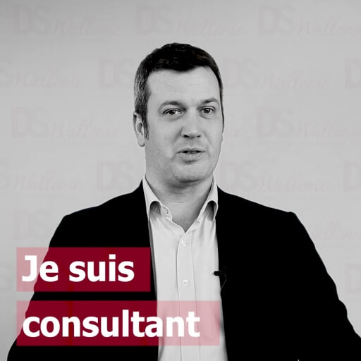 Sébastien Gilson : je suis consultant